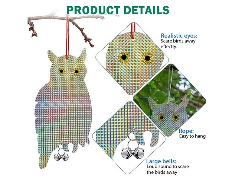 product-800-600