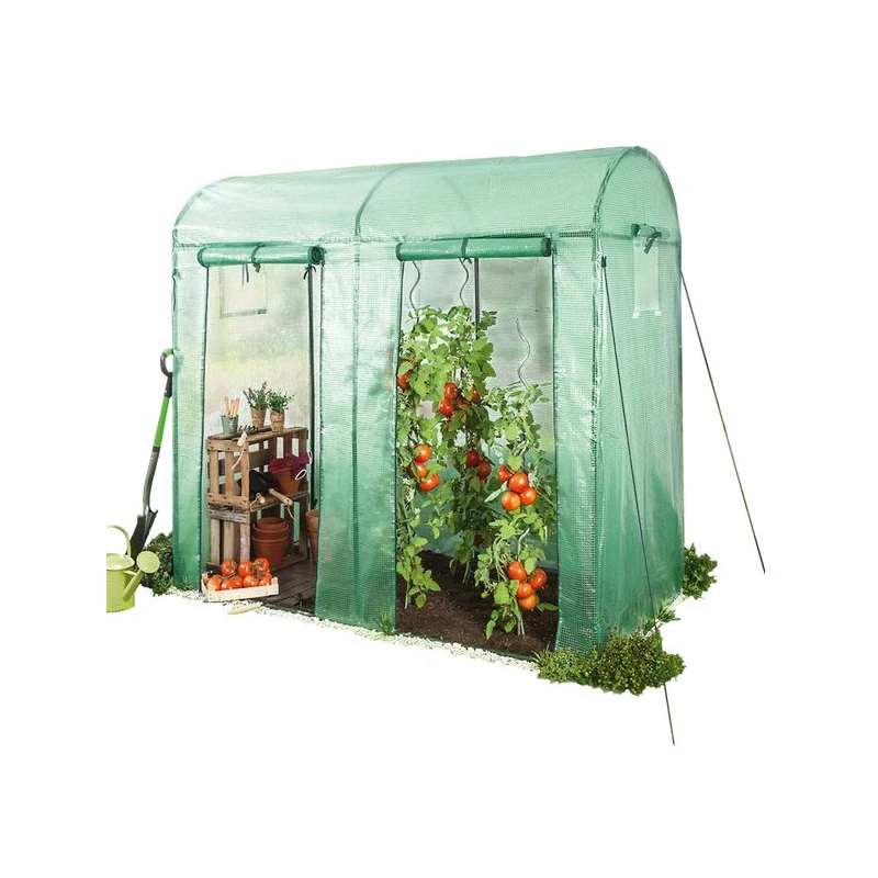 Casa de cultivo de tomate